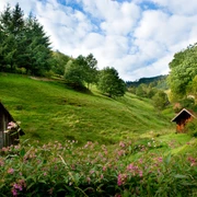Heuhüttental bei Weisenbach