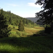 Glaswiesen Naturschutzgebiet Sommer