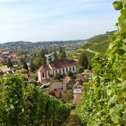 St. Heinrich außen mit Weinbergen