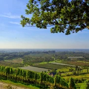 Blick vom Plauelrainer Köpfle Richtung Süden