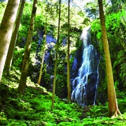 Burgbachwasserfall Titelbild