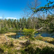 Herrenwieser See_Joachim Gerstner_M