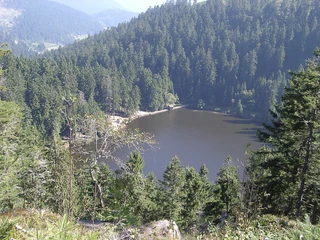 Glaswaldsee vom Seeblick