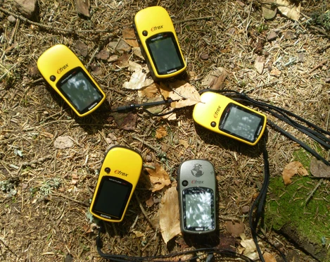 GPS Waldboden_© Schwarzwald-Guide Margot Laufer