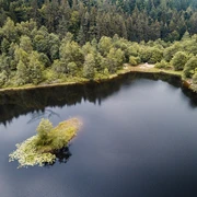 BT_2018_Drohne_Sankenbachsee_006