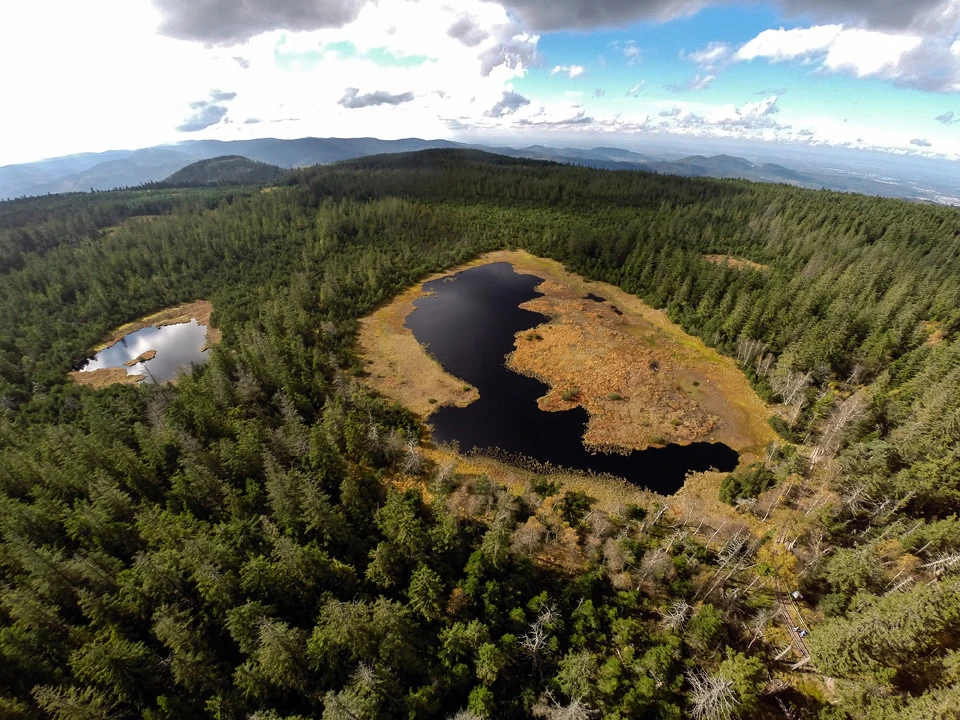 Hornsee und Hohlohsee Kaltenbronn Fotograf Joachim Gerstner