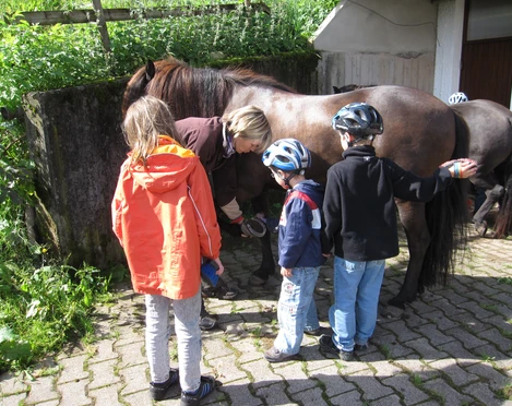 Ferienprogamm auf dem Landeckhof