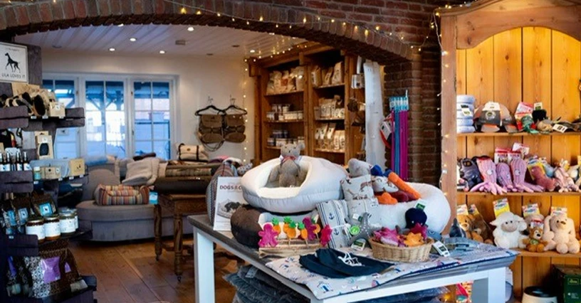 Sylter Strandhund Innenansicht