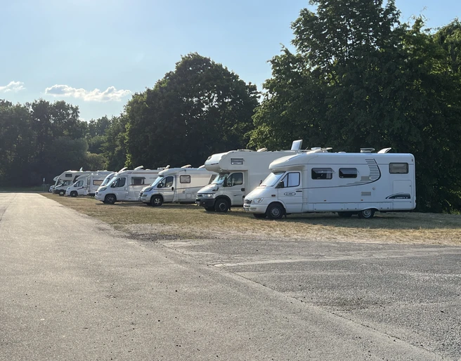 Festwiese Nienburg Wohnmobile stehen nebeneinander auf einer sonnigen Wiese, umgeben von Bäumen und blauem Himmel.