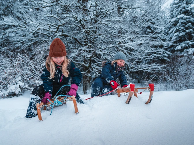 Schlittenfahren am Rodelhand Obertal Buhlbach