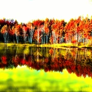 Bunter See Einein gemaltes Bild: idyllischer See reflektiert herbstlich gefärbte Bäume, die in warmen Rottönen erstrahlen.