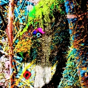 Er hatte sich gut versteckt - Kopie.jpg Ein Baumstamm, mit leuchtend grüner Farbe und bunten Elementen dekoriert, versteckt sich im dichten Gestrüpp.