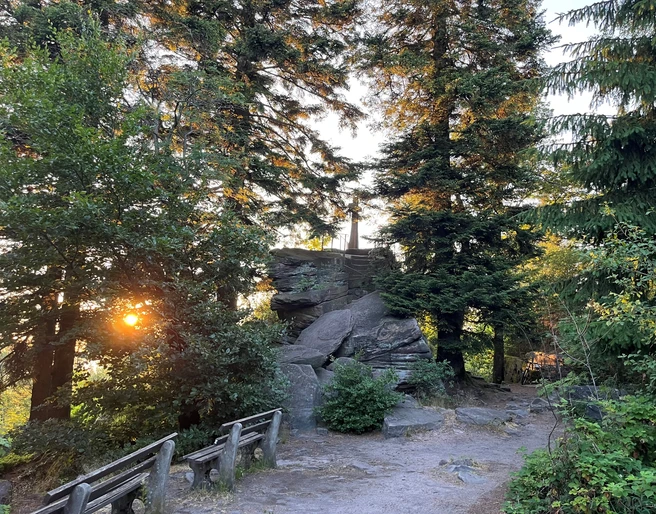 Bernstein Caroline Moser klein