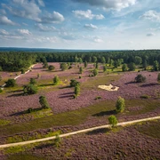 Wanderung durch das Büsenbachtal Toller Rundwanderweg durch das Büsenbachtal im Norden der Lüneburger Heide