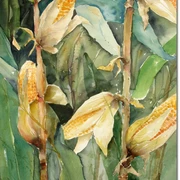 Sybille Kölb - Maiskolben.jpg