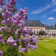 Pillnitz im Frühling Pillnitz im Frühling