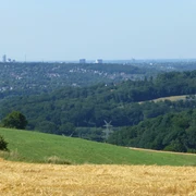 Weitblick auf das Ruhrgebiet Blick auf das Ruhrgebiet mit ausgedehnten Wäldern, Feldern und eine sich am Horizont erstreckende Skyline.