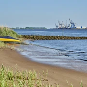 _21Z2336.jpg