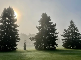 Golfclub Sieben-Berge Rheden