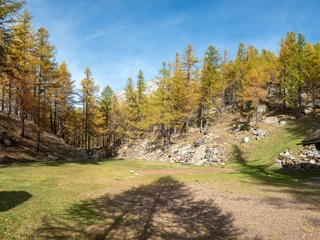 52463049015_eb22413785_3k.jpg Bild des Zeltplatzes PutztolaPicture of the Putztola campsitePhoto du camping Putztola