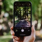 symbol phone in forest.jpg