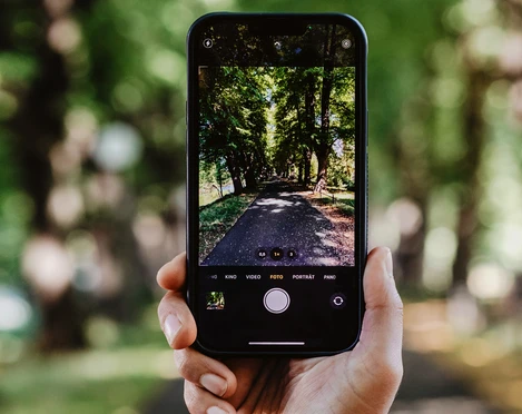 symbol phone in forest.jpg