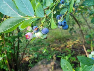 WhatsApp Image 2023-07-13 at 14.12.58 (2).jpeg