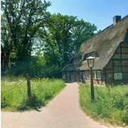 Bienenwelten_Naturinformationshaus_Niederhaverbeck.jpg Ein traditionelles Fachwerkhaus mit Reetdach liegt idyllisch in einer grünen, sommerlichen Landschaft.