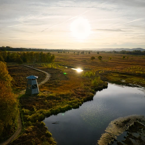 Ein Aussichtsturm im Moorgebiet von Hille bei Sonnenuntergang, umgeben von herbstlicher Natur und Wasserflächen.