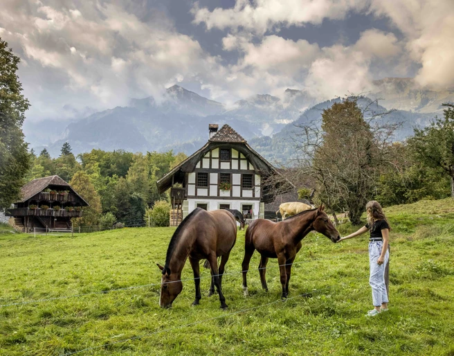 Ballenberg_Nidwalden_Brienz Tiere, Handwerk und Häuser, Ballenberg im Herbst 2020