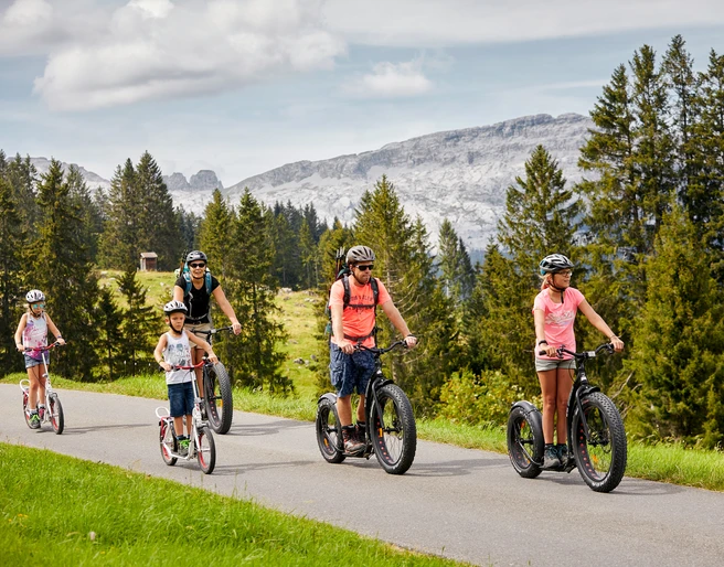 En trottinette jusqu'à Sörenberg Mit dem Trottinett nach Sörenberg
