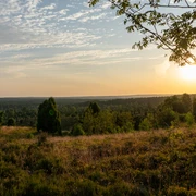 Wilseder Berg im Juli Wilseder Berg im Sonnenaufgang