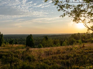 Wilseder Berg im Juli Wilseder Berg im Sonnenaufgang