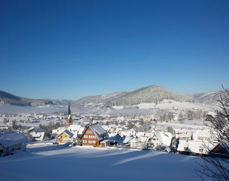 Ortsansicht Baiersbronn Winter