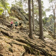Ibbenbüren-Dörenther Klippen-Tecklenburger Land, D. Ketz-2023-069.jpg Zwei Wanderer erkunden einen felsigen Pfad, umgeben von Bäumen und den beeindruckenden Dörenther Klippen.