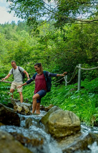 Kneippweg Blitzingen