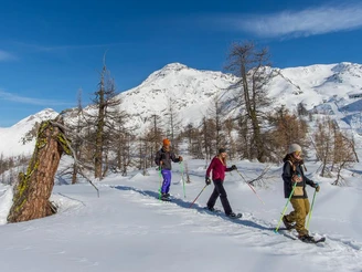 Schneeschuhtrail Rothwald