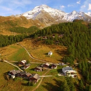 Wasenalp