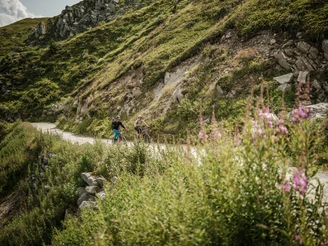 Märjela - Fieschertal Trail (Enduro)
