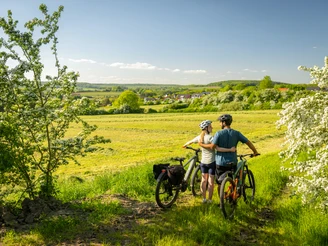 Ausblick in die südliche Eifel mit Streuobstwiesen, Nims-Radweg