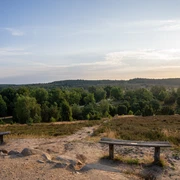 230711_Turmberg_CCBYSA_Bispingentouristik_DM-03.jpg Turmberg