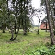 Moorkieker Im Vordergrund stehen hohe Bäume, dahinter ein Holzspielplatz und ein rotes Gebäude in der Ferne.