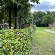 Mehrgenerationenplatz Hohenaverbergen Ein einladender Mehrgenerationenplatz mit gepflegtem Rasen, ruhigen Wegen und grüner Vegetation.