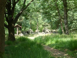 Hünengräberstraße des Hümmling