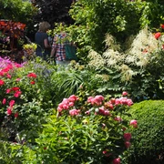 Blütenpracht in Schneiders Garten