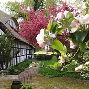 Frühling bei Mees
