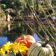 Herbst im Gartenwerk Dukat