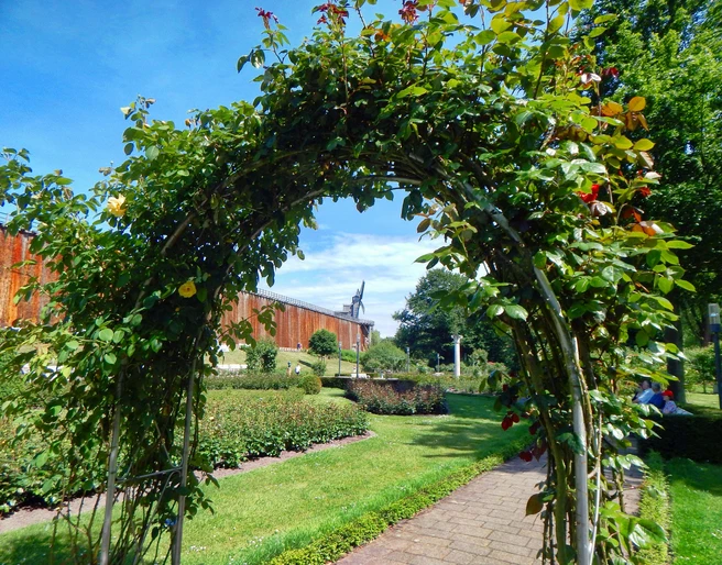 Der Rudi-Wernemann-Rosengarten in Bad Rothenfelde Rosenbogen in einem gepflegten Garten mit sattem Grün und blauem Himmel im Hintergrund.