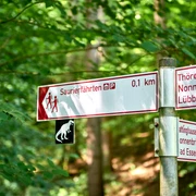 Ausschilderung an den Saurierfährten Wegweiser im Wald mit Angaben zu Saurierfährten und Entfernungen zu Sehenswürdigkeiten.
