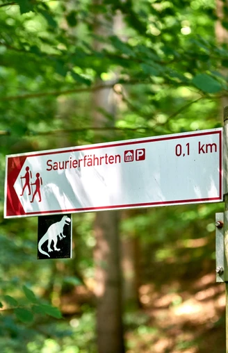 Ausschilderung an den Saurierfährten Wegweiser im Wald mit Angaben zu Saurierfährten und Entfernungen zu Sehenswürdigkeiten.